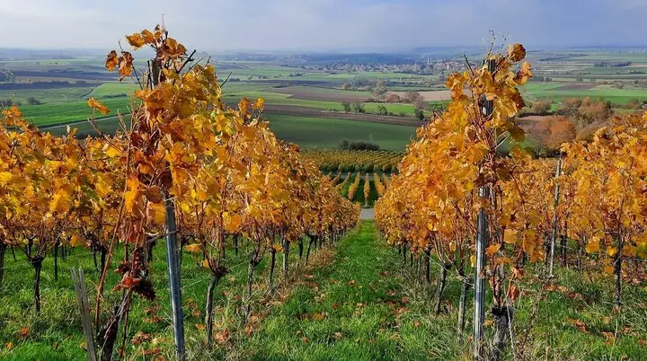 © DAV Yogagruppe; Foto: Heike Stellwag-Flenker