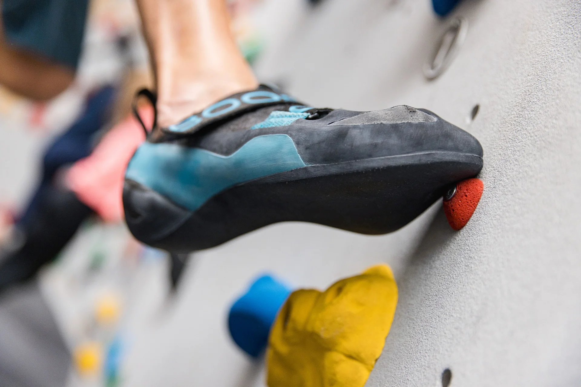 Ein Boulderschuh in Nahaufnahme | © DAV