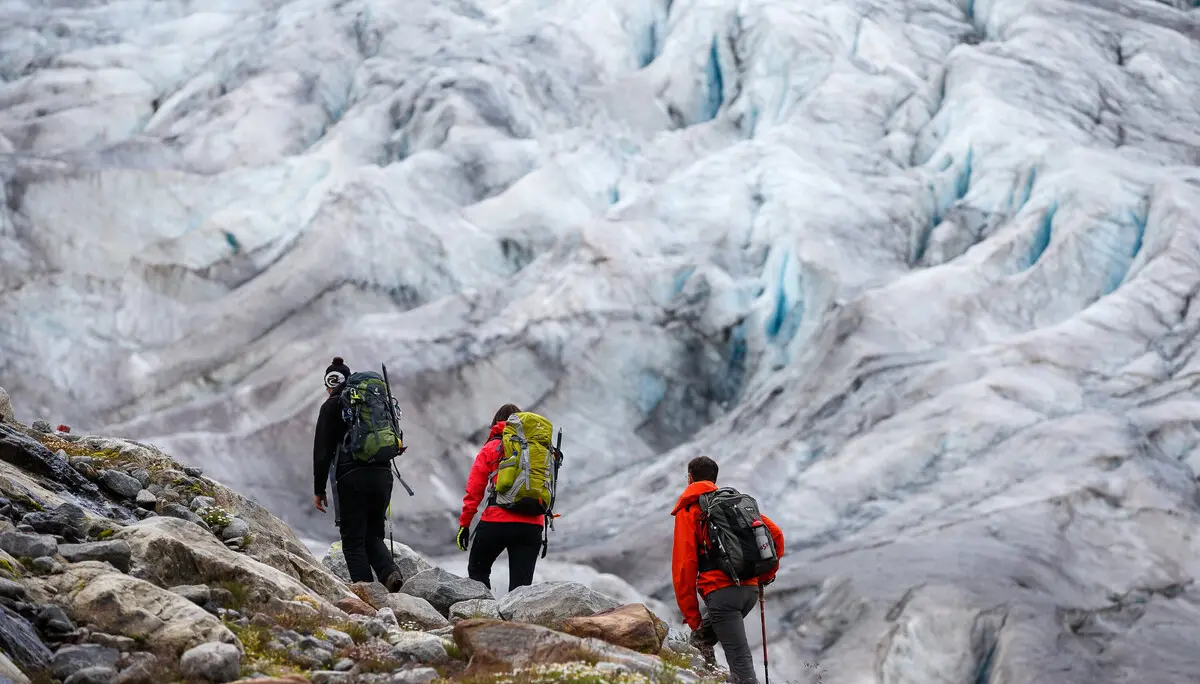 Hochtour: drei Wanderer laufen mit Rucksack über den Gepatschferner zur Rauhekopfhütte. | © DAV/Marco Kost