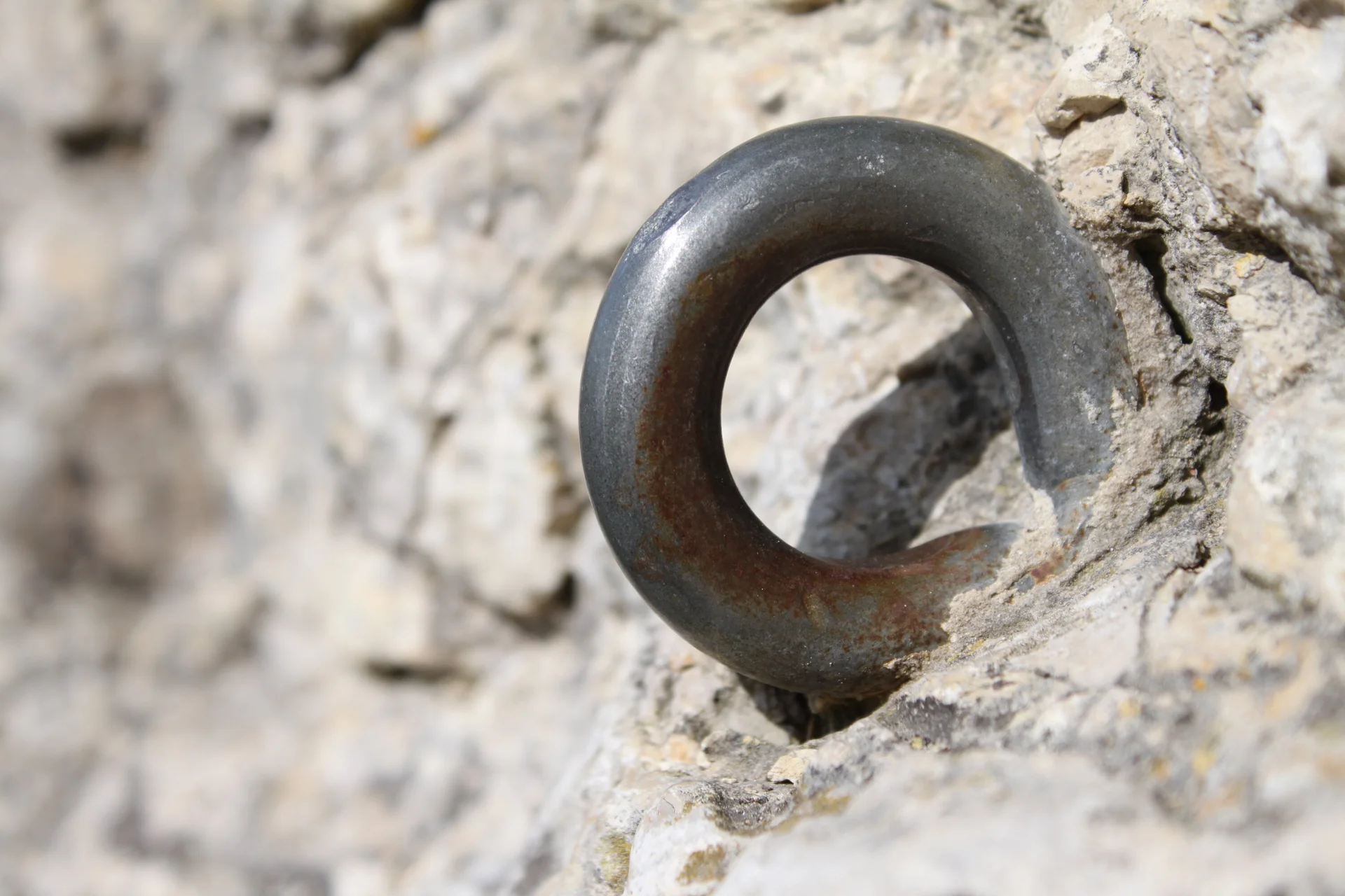 Sicherungsring in den Feld gehauen | © DAV/Steffen Reich