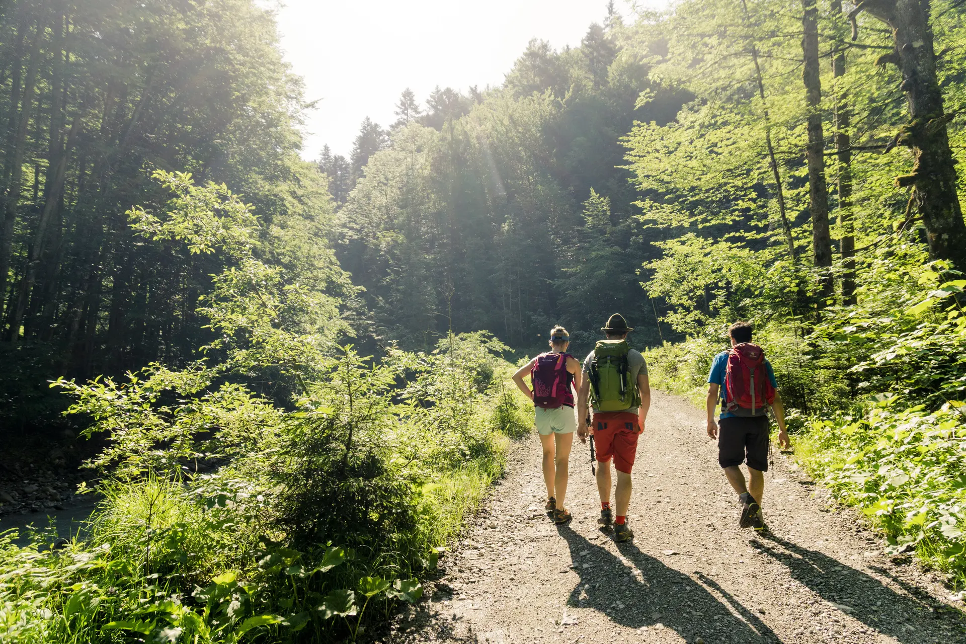 Drei Wanderer auf einem Bergpfad in den Chiemgauer Alpen | © DAV/Hans Herbig