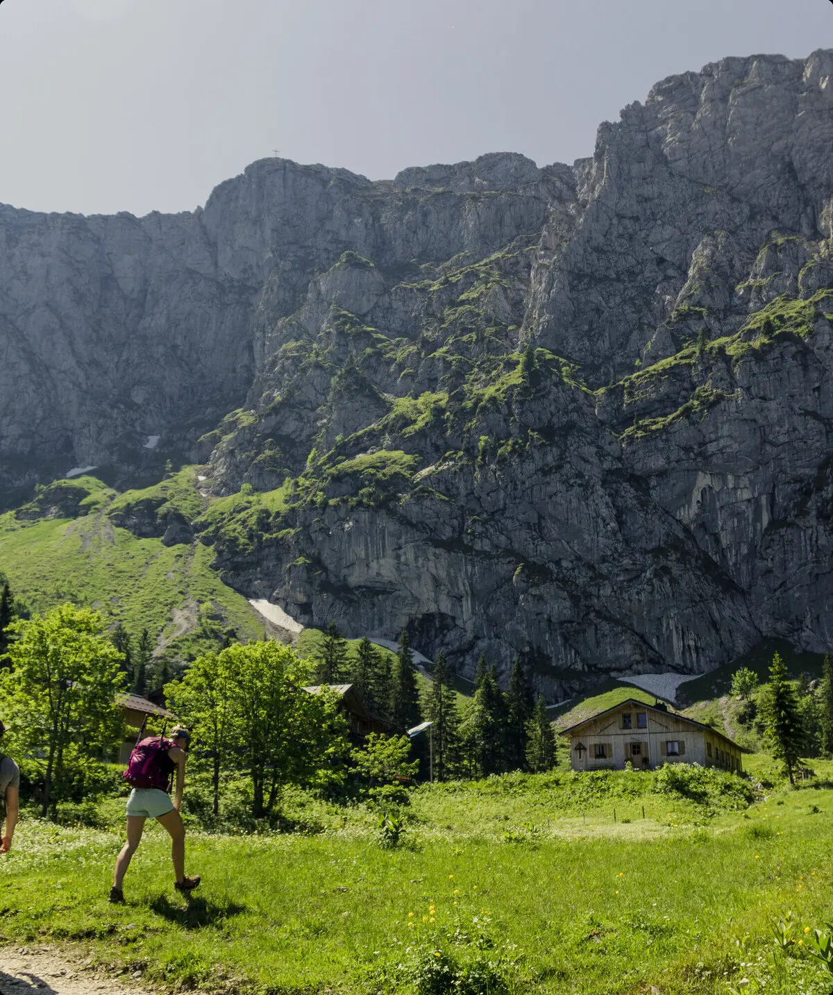 Drei Wanderer auf den grünen Berghängen der Chiemgauer Alpen | © DAV/Hans Herbig