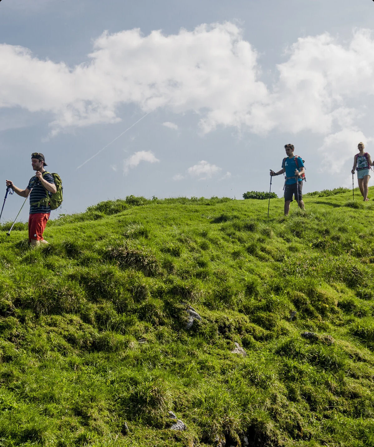 Drei Wanderer auf den grünen Berghängen der Chiemgauer Alpen | © DAV/Hans Herbig