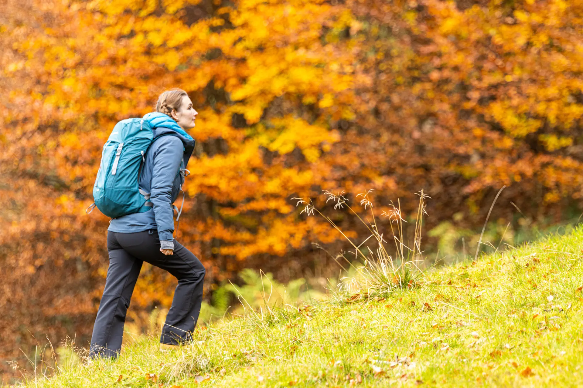Wandern im Herbst: Eine Frau genießt die herbstliche Stimmung in den Bergen. Das Laub ist bereits bunt verfärbt | © DAV / Franz Günther