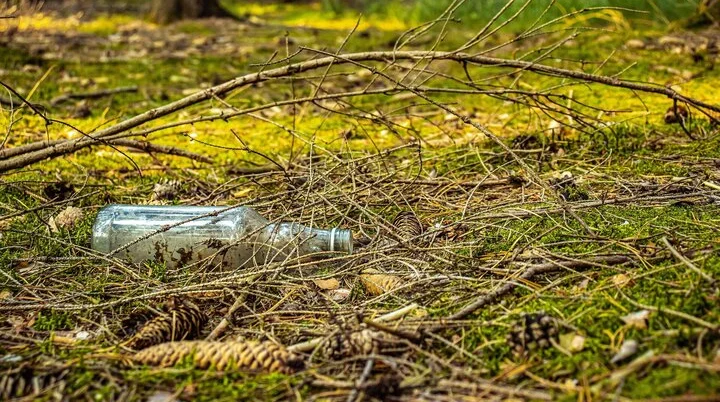 Eine leere Flasche im Wald | © Kamil Miłkowski/ pixabay