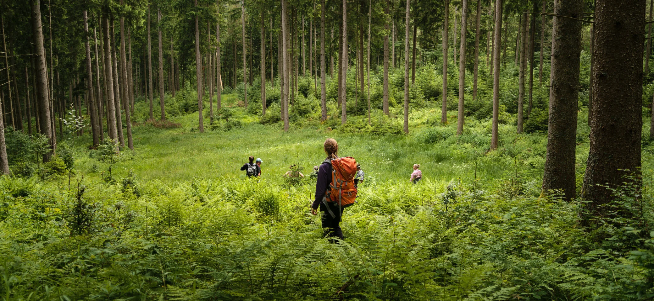 Aktion Schutzwald | © 	DAV/Arvid Uhlig