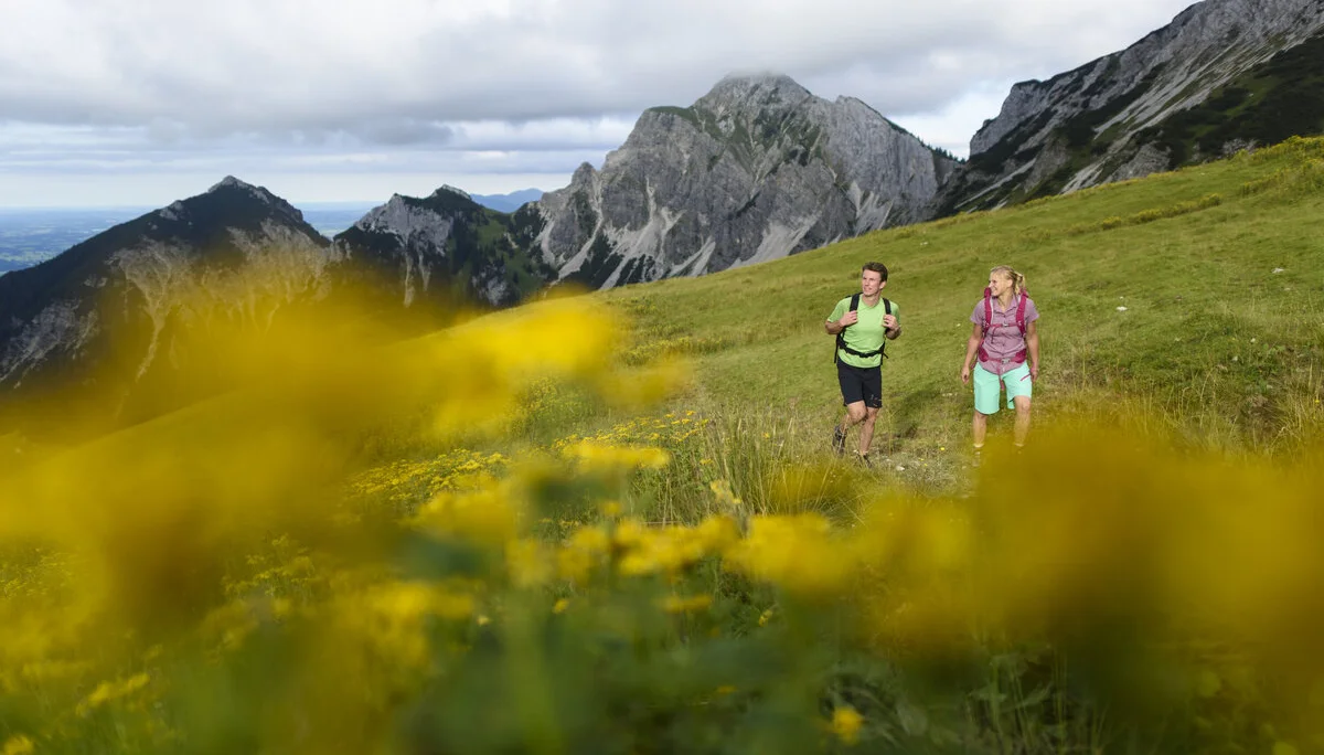 Wanderer im Frühling gehen über eine blühende Wise | © DAV / Wolfgang Ehn