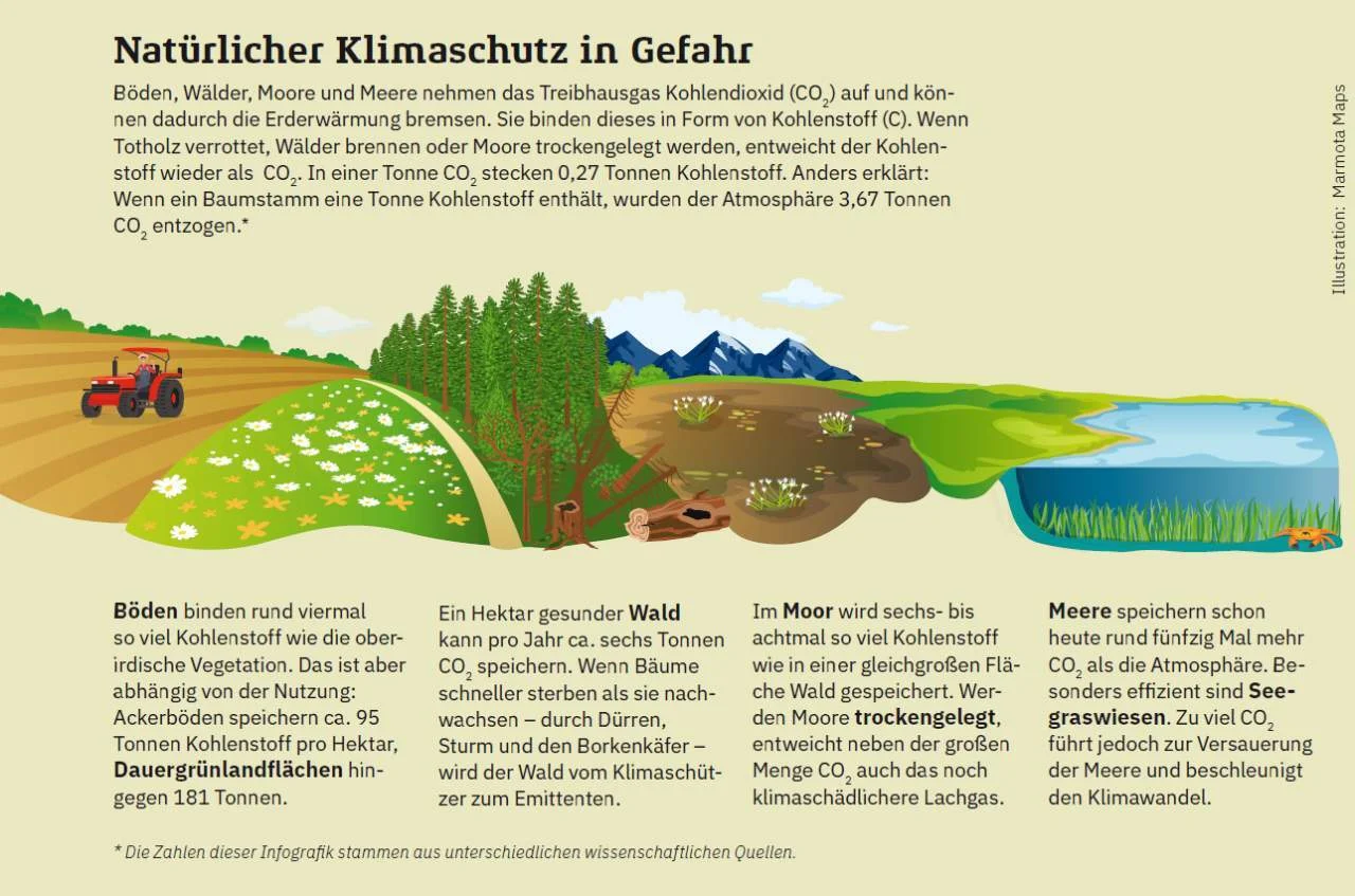 Böden, Wald, Moor und Meere sind nicht nur um ihrer selbst schützenswert. Sie tragen auch auf natürliche Weise zum Klimaschutz bei. | © Marmota Maps