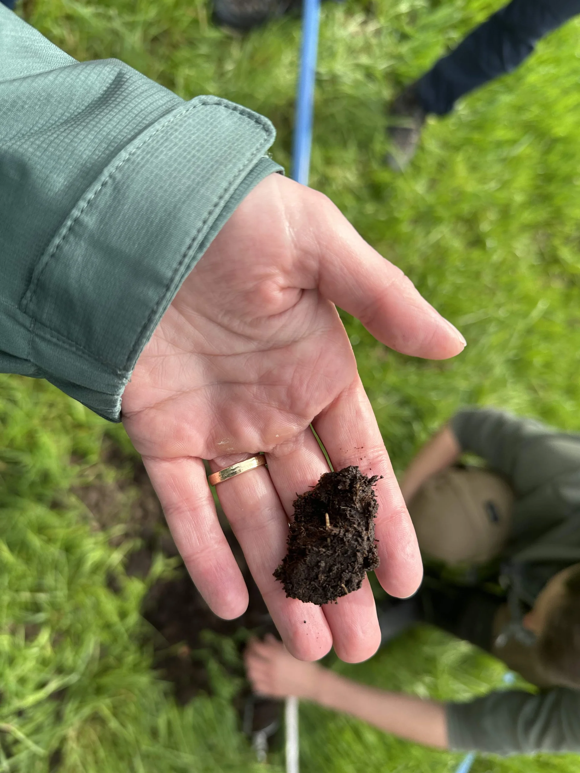 Moorboden speichert durch den hohen Wassergehalt Kohlenstoff, da Zersetzungsprozesse gestoppt werden. | © DAV/Cornelia Kress