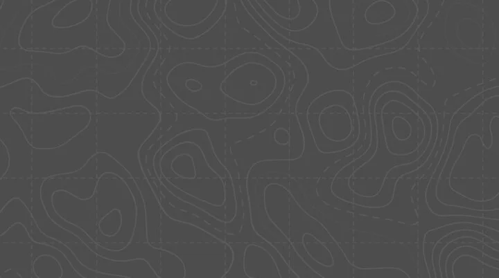 topografische Linien - grau